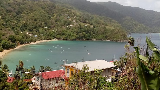 Pirate's Bay