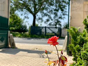 Photo n°10 de Chambres d'hotes Martine et Jean-Yves Martinet à Saint-Martin-la-Pallu (Lodge)