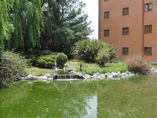 Oliver Inn