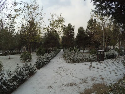 Photos of Pardis Park