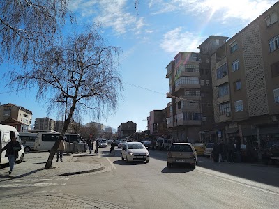 Axhesia e autobuzave