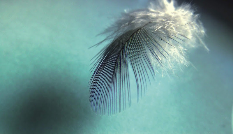 ganzleicht Monika Schönwald TouchLife -Massage für Frauen