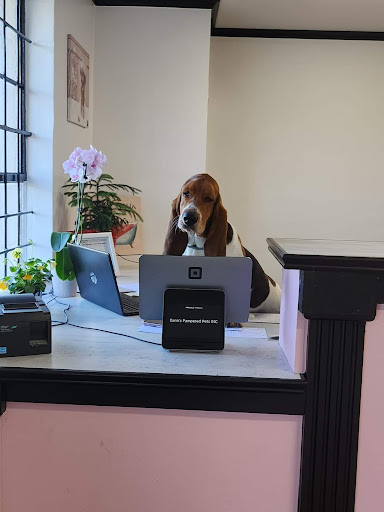 Dana's Pampered Pets