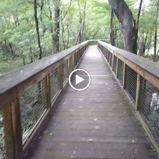 Blue Hole Spring trailhead - Thumbnail