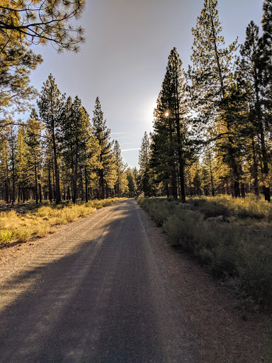 Phil's Trailhead - Visual