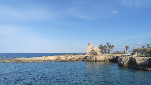 Torre Cintola - Visual