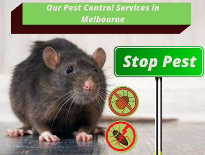 Photos of Melbourne Pest Control