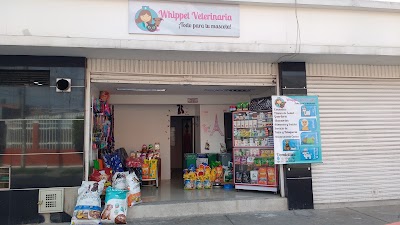 Photos of Whippet Veterinaria