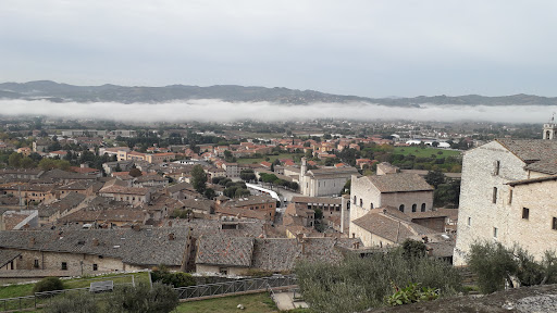 Viaggio in Italia - Thumbnail