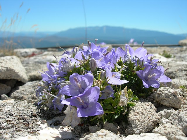 Rocca Calascio