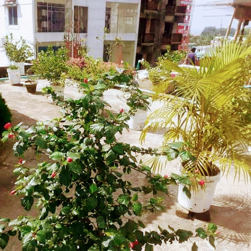 Rain View Resort
