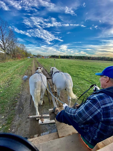 Rosehill Ranch