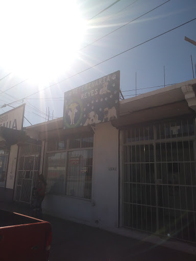 Veterinaria REYES - Thumbnail