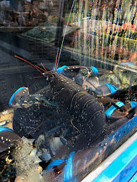 Photo n°7 de Poissonnerie du Petit Chantilly à Orvault (Restaurant de fruits de mer)