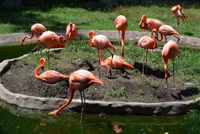 The Maryland Zoo in Baltimore