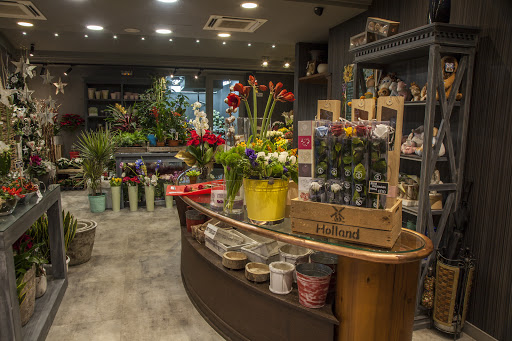 San Alberto Nuñez florist JuntoTanatorio - Thumbnail