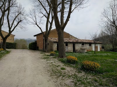 Abbey of Saints Rufinus and Vitalis