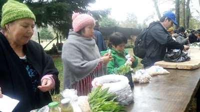 Photos of Feria Walung