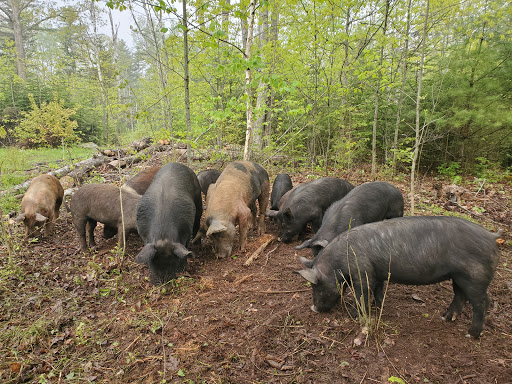 East Forty Farm and Dairy - Thumbnail