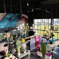 Groupe Loops à Trégueux