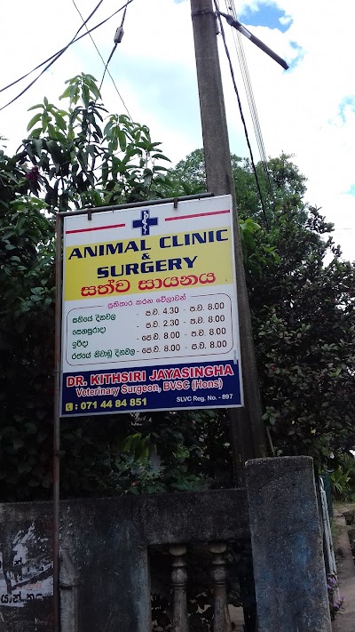 Photos of Narmmala Animal Clinic
