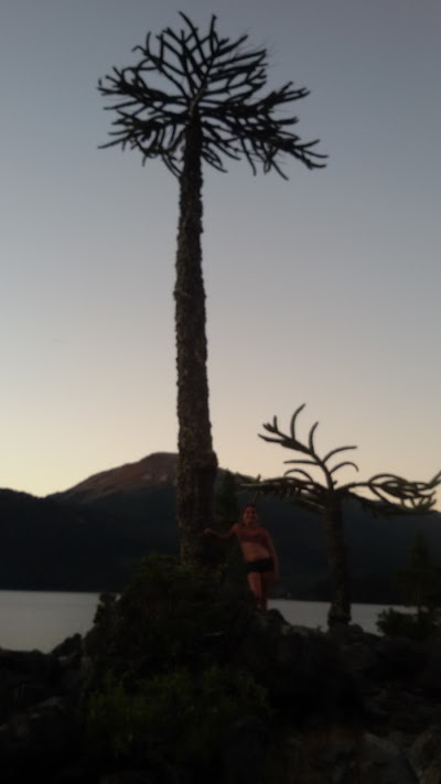 Photos of Camping Trenel