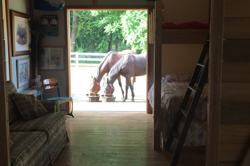 Corbett Farm - Visual