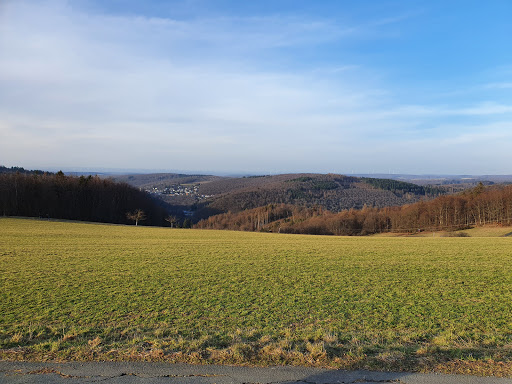Parkplatz "Löwenheck"