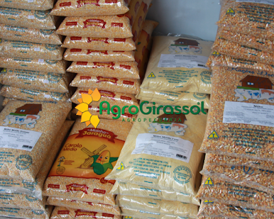 Photos of Agriculture Sunflower Ltda
