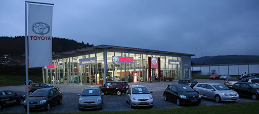 AUTOHAUS DINIG GMBH & CO. KG Logo