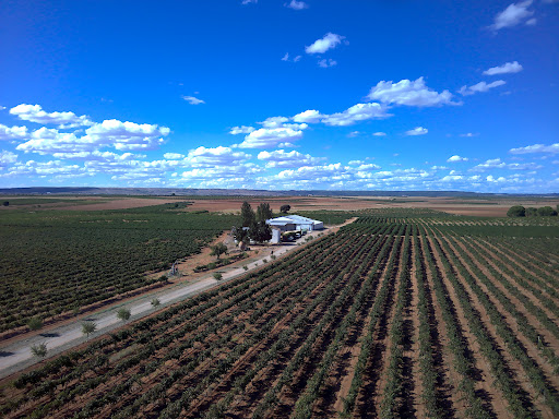 Ecobodega La Morenilla