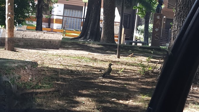 Ángel María Zuloaga Plaza, Author: Esteban Rosico