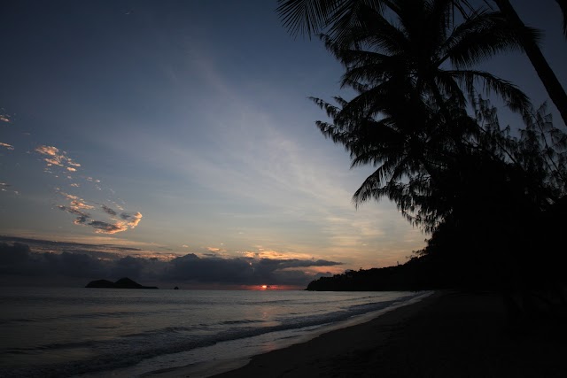 Ellis Beach