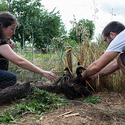 Photo n°14 de Le Voyage de l'Arbre à Lire à Alloinay (Ferme)