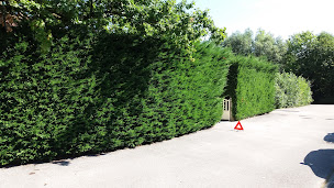 Photo n°13 de ETS FEUGIER à Chênex (Service d'élagage)