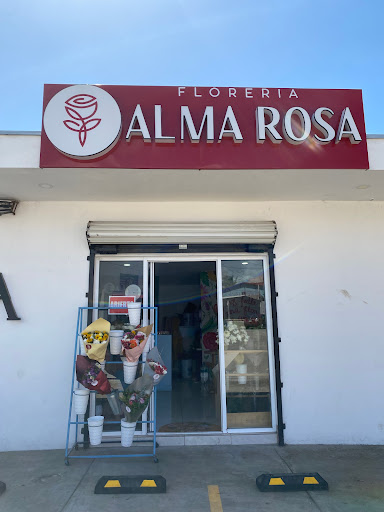 Florería Alma Rosa