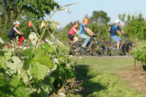 Ardèche Vélo - Randonnées Guidées À Vélo Et À Vtt En Ardèche