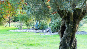Photo n°13 de Gaïa Tree - Cours de yoga et retraites à Saint-Étienne-d'Orthe (Professeur de yoga)