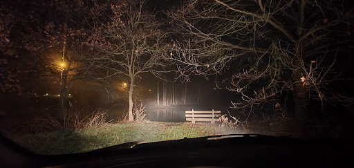 Parkplatz Kühkopf - Thumbnail