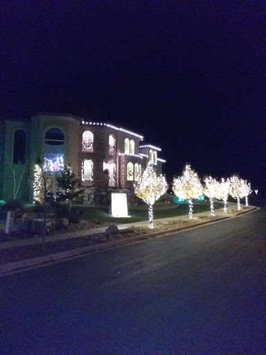 Christmas Lane Gallery - United States