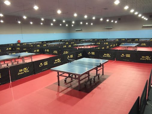 Expert Swing Table Tennis Centre, Author: Ken CHin