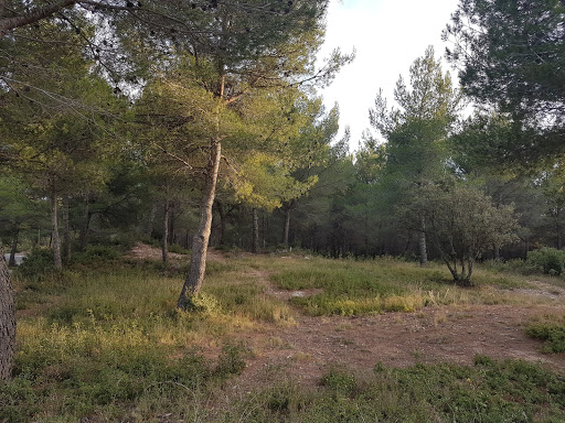 Aix en Lama