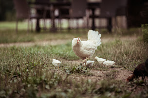 Photo n°7 de Le Relais du Doubs à Ciel (Chambre d'hôtes)