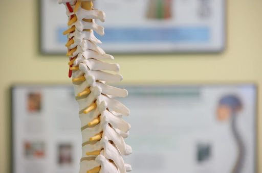 Cheshire Community Physio - Thumbnail