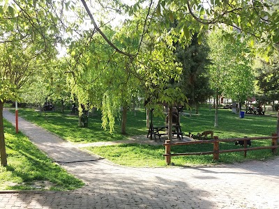 Photos of Boyabat Castle