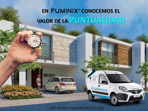 FUMINIX - Visual