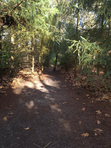 De Ossendijk - Visual