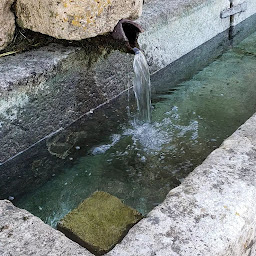 Photo n°13 de Les Amis d'Ernelle à Villécloye (Association culturelle)