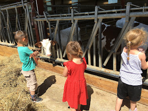 Photo n°6 de GAEC Savoie Gascogne à Marin (Ferme pédagogique)