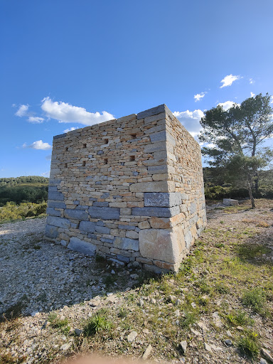 Observatoire de la Résilience